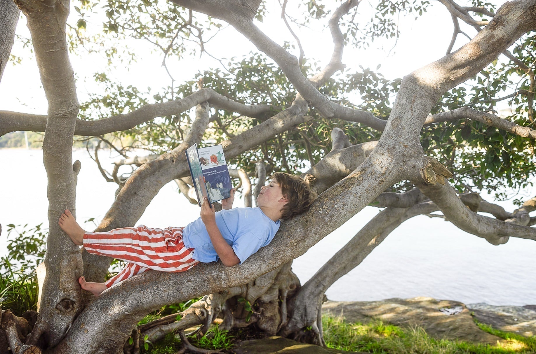 For your child’s visual alphabet, A isn’t for apple – A is apple